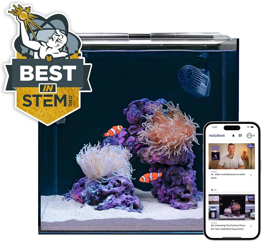 PC Reef starter pick