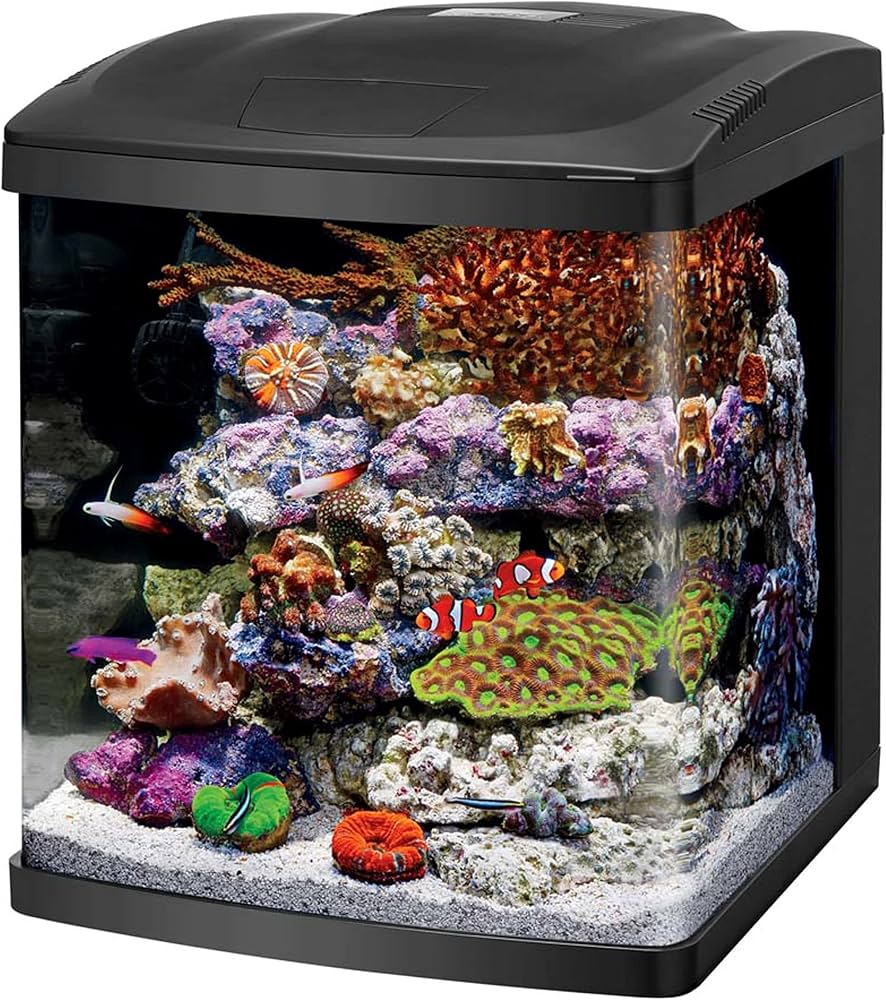PC Reef starter pick